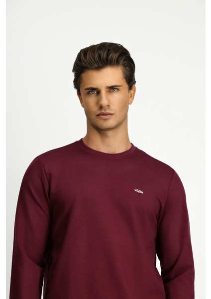 Bisiklet Yaka Regular Fit Nakışlı Pamuklu Sweatshirt modelleri