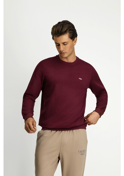 Bisiklet Yaka Regular Fit Nakışlı Pamuklu Sweatshirt fırsatları