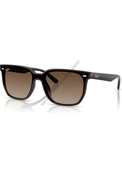 Rayban 0RB4466D 714/13 47 Unisex Günes Gözlük fiyatları