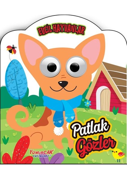 Patlak Gözler - Evcil Hayvanlar