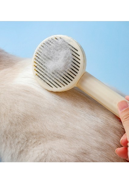 Apsino Kedi Tarağı | Kedi Tüy Toplama Tarağ (Yurt Dışından)