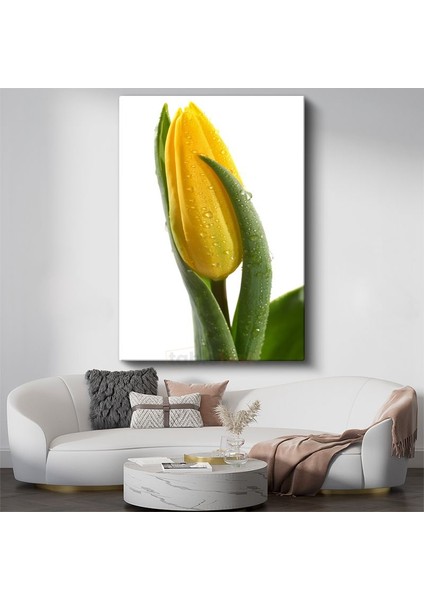 Sarı Lale - Çiy Damlalı Minimalist Çiçek Portresi Kanvas Tablo