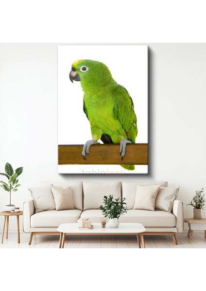 Yeşil Papağan - Zümrüt Tüylü Egzotik Kuş Kanvas Tablo