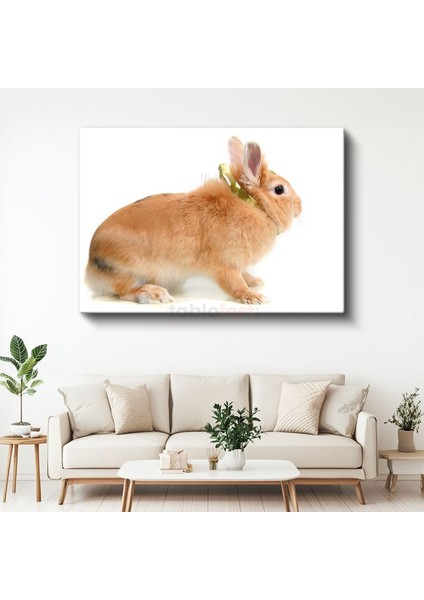 Turuncu Tavşan - Altın Kurdeleli Yan Bakış Kanvas Tablo