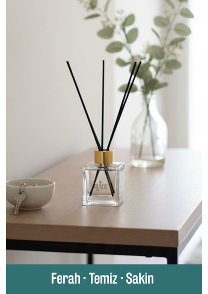 Tidal Whisper Okyanus Çubuklu Oda Kokusu 100 ml – Ferah ve Temiz Uzun Süreli Koku Yayılımı fiyatları