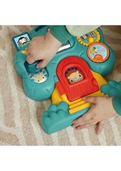 Hayvanlarla Tanışalım Eğitici Oyun Seti Aslan Kral Temalı Erkek Çocuklar İçin