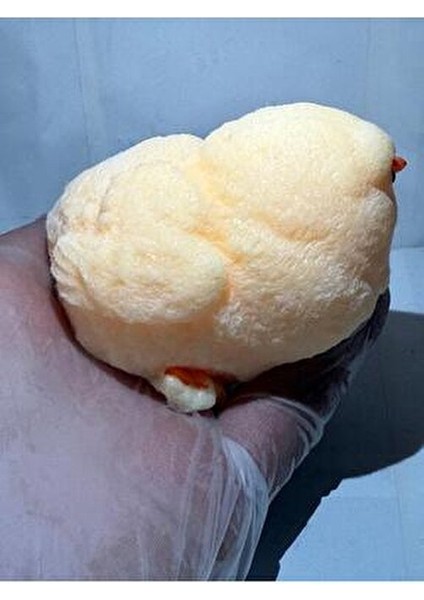 Civciv Squishy Hayvan Figürü Yumuşak Dokulu Hediyelik, Çocuklar İçin