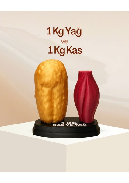 Yağ ve Kas Replikası 1 kg (Diyetisyenler ve Sporcular Için)