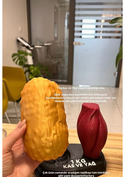 Yağ ve Kas Replikası 1 kg (Diyetisyenler ve Sporcular Için) fırsatları