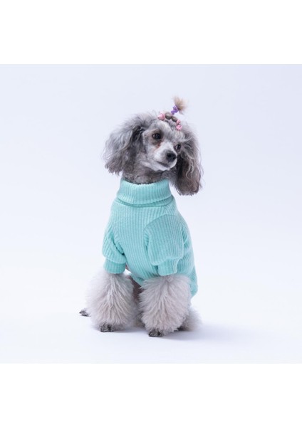 Mint Pooh's Ashdown Tigger Köpek Sweati Köpek Kıyafeti Kedi Kıyafeti fırsatları