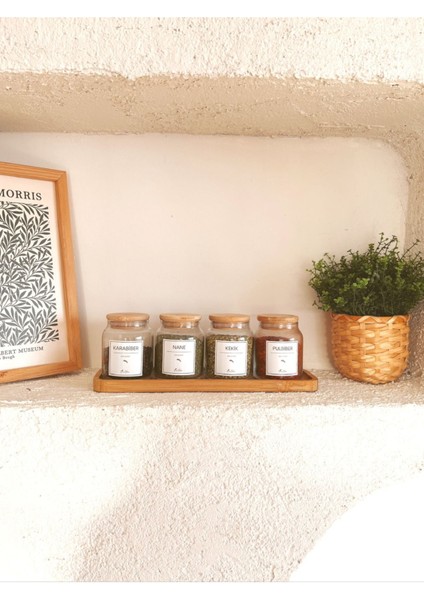 Bambu Vakum Kapaklı 4'lü Cam Baharat Seti, 16 Etiketli, Şık ve Kullanışlı Tasarım fiyatları