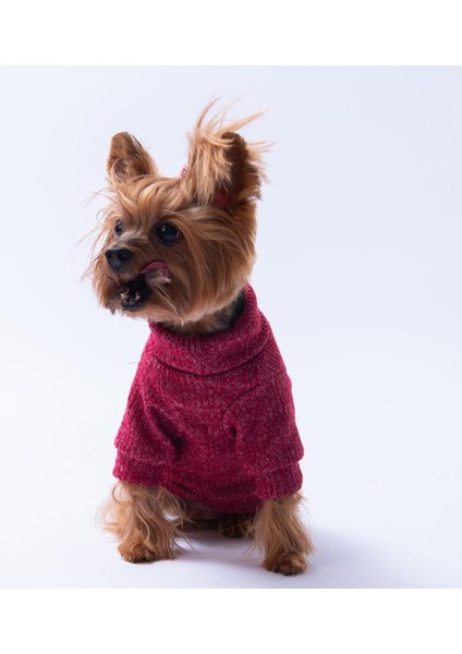 Bordo Pooh's Ashdown Winnie Köpek Sweati Köpek Kıyafeti Kedi Kıyafeti modelleri