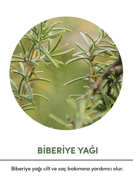 Biberiye Yağı 30 ml modelleri