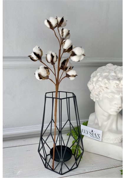 Doğal Pamuk Dalları 1 Dal 10LU Pamuklar Dekoratif Beyaz Yapay Çiçek Minimal Dekor