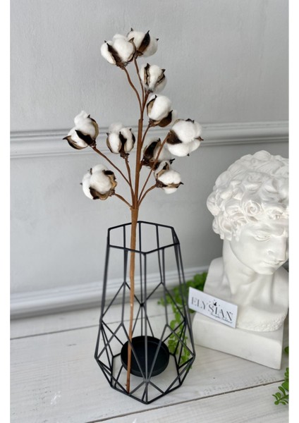Doğal Pamuk Dalları 1 Dal 10LU Pamuklar Dekoratif Beyaz Yapay Çiçek Minimal Dekor fiyatları