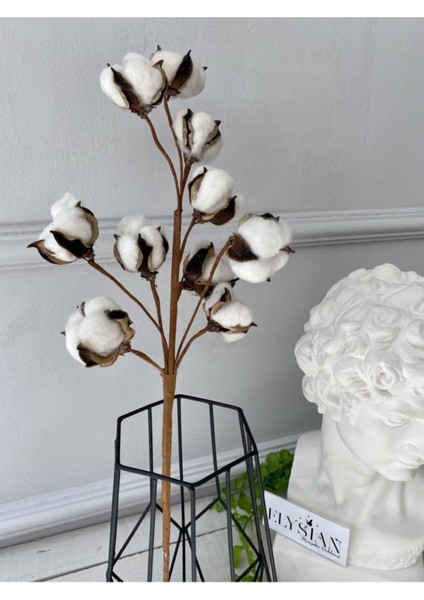 Doğal Pamuk Dalları 1 Dal 10LU Pamuklar Dekoratif Beyaz Yapay Çiçek Minimal Dekor modelleri