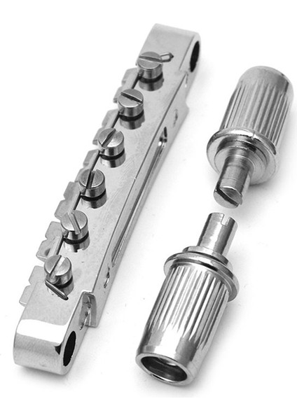 Lp Elektrik Gitar Köprüsü Çekme Plakası Ön Tel Gümüş (Yurt Dışından)