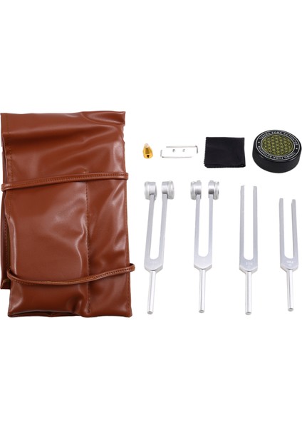 Şifa Için Diyapazon Seti 128Hz, 136.1Hz, 256Hz, 384Hz ve Aktivatör, Ses Terapisi Vücudu Korur B (Yurt Dışından) modelleri