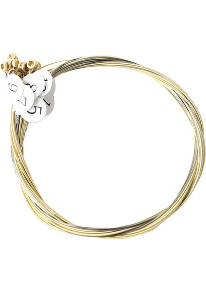 16 Adet Lir Harp Teli Yedek Metal Tel Seti (Yurt Dışından)