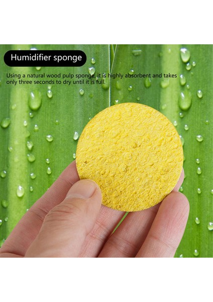 Gitar Nemlendirici Akustik Ses Delikleri Nemlendirici Paketleri Nemlendirme Enstrüman Aracı (Yurt Dışından) fırsatları