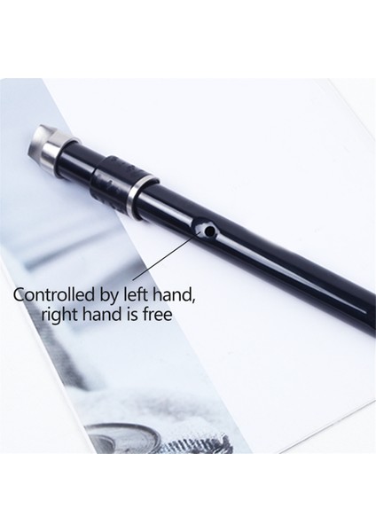 Delik Irlanda Teneke Kuruş Düdüğü Kılıflı CD Flüt Enstrümanı Nefesli Çalgı Müzik Severler Için Anahtar (Yurt Dışından)