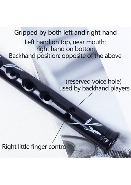 Delik Irlanda Teneke Kuruş Düdüğü Kılıflı CD Flüt Enstrümanı Nefesli Çalgı Müzik Severler Için Anahtar (Yurt Dışından) fiyatları