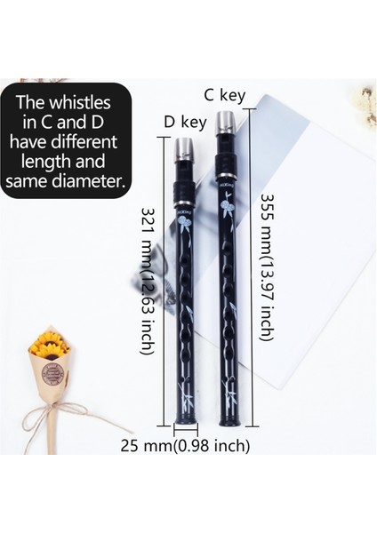 Delik Irlanda Teneke Kuruş Düdüğü Kılıflı CD Flüt Enstrümanı Nefesli Çalgı Müzik Severler Için Anahtar (Yurt Dışından) modelleri