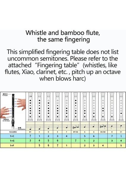 Delik Irlanda Teneke Kuruş Düdüğü Kılıflı CD Flüt Enstrümanı Nefesli Çalgı Müzik Severler Için Anahtar (Yurt Dışından) fırsatları