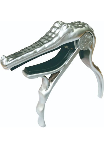 Alıce Crocodıle Akustik Gitar Kaposu A007G/PC