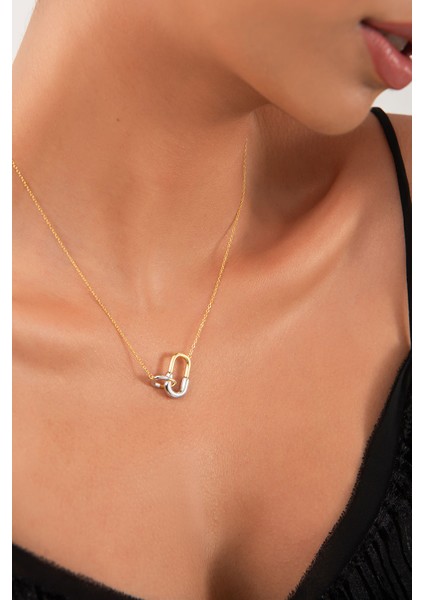 Altın Bağlantı Detaylı 925 Ayar Gümüş Kolye 136 fiyatları