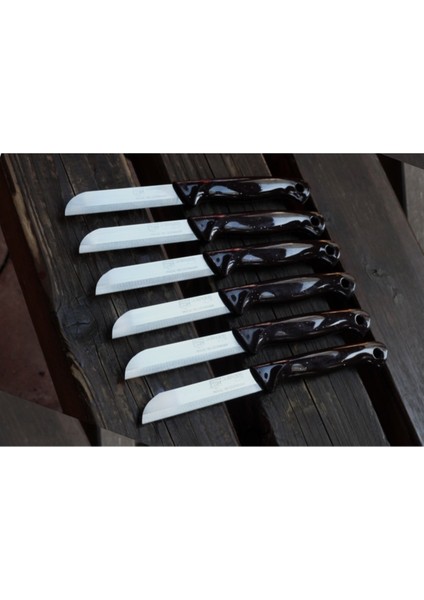 Renkli Delikli Meyve Sebze Bıçakları, 6'lı Set, Tırtıklı ve Şık Tasarım