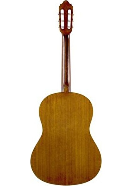 VC204H Klasik Gitar 4/4 Doğal Mat Renk Jabon Ağacı Klavye ile Premium Ses Kalitesi indirimleri