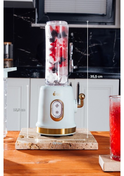 Yeşil Çift Şişeli Smoothie Blender, Güçlü ve Pratik Mutfak Aracı