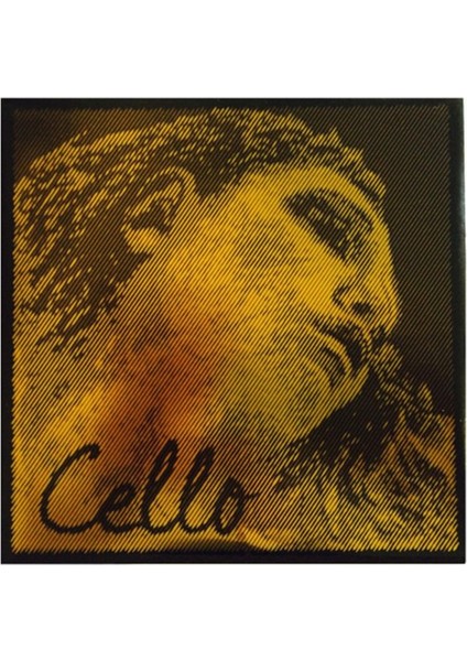 Pirastro Evah Pirazzi Gold Set Çello Teli 335020 fiyatları