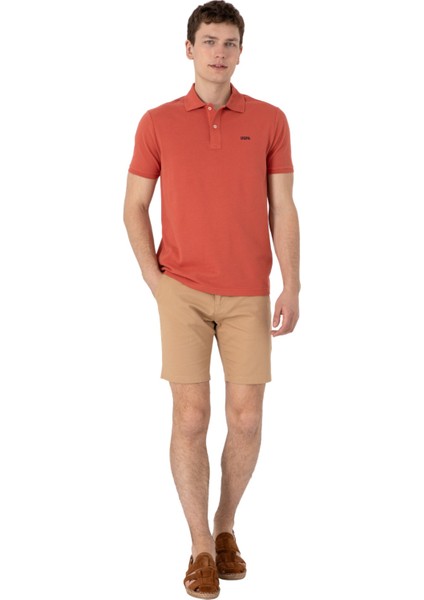 Erkek Regular Fit Polo Yaka Basic T-Shirt