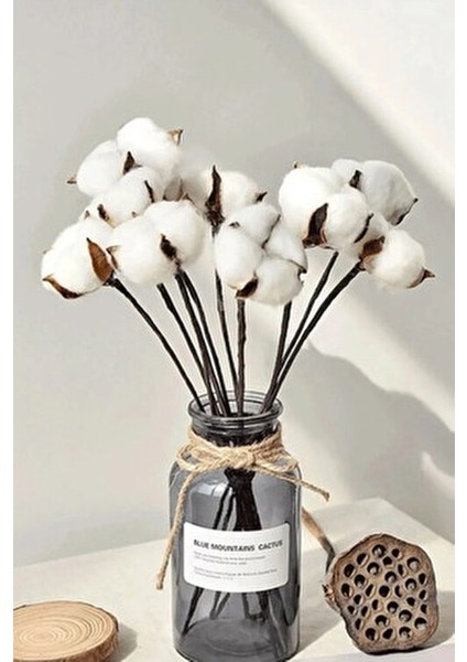 6lı Beyaz Pamuk Dalı Doğal Görünümlü Uzun Ömürlü Dekoratif Set fiyatları