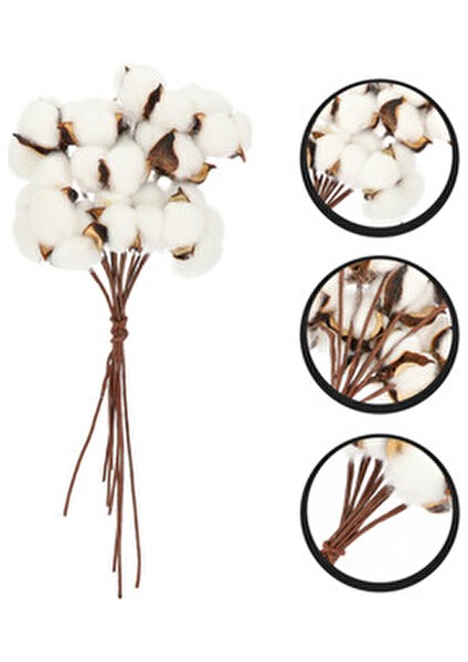 6lı Beyaz Pamuk Dalı Doğal Görünümlü Uzun Ömürlü Dekoratif Set modelleri