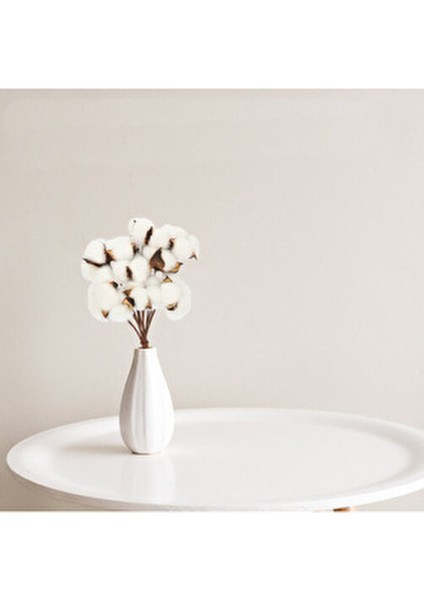 6lı Beyaz Pamuk Dalı Doğal Görünümlü Uzun Ömürlü Dekoratif Set indirimleri