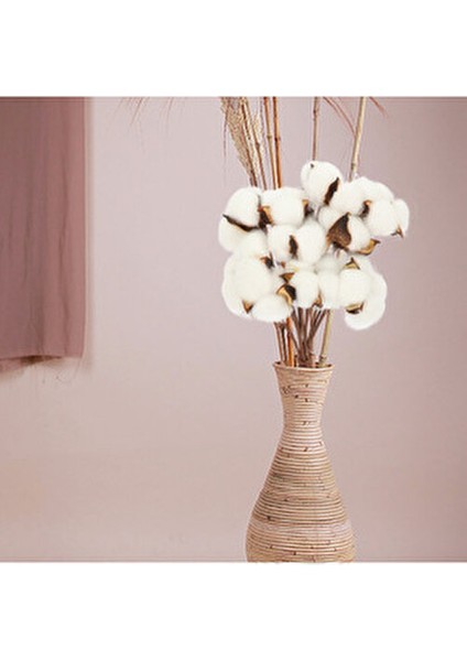 6lı Beyaz Pamuk Dalı Doğal Görünümlü Uzun Ömürlü Dekoratif Set