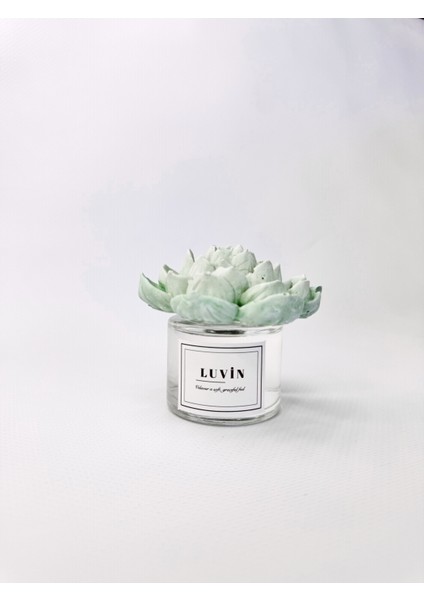 Yasemin Büyük Taş Çiçek Oda Kokusu 50 ml modelleri