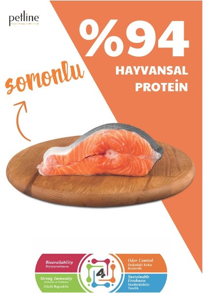 Pet Line Yavru Somonlu Kedi Maması 2-12AY 10KG modelleri