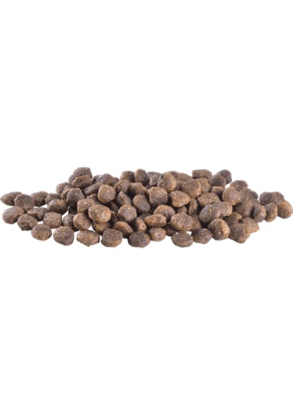 Wizard Brit Care 2 kg Mini Irk Yetişkin Köpekler Için, Tahılsız, Hipoalerjenik Kuzu Etli Kuru Mama fiyatları