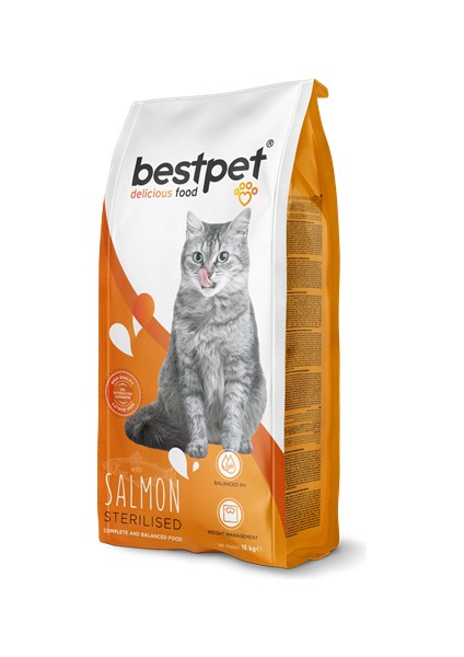 Wizard Bestpet 15 kg Yetişkin Kısırlaştırılmış Kediler Için Somonlu Kuru Mama