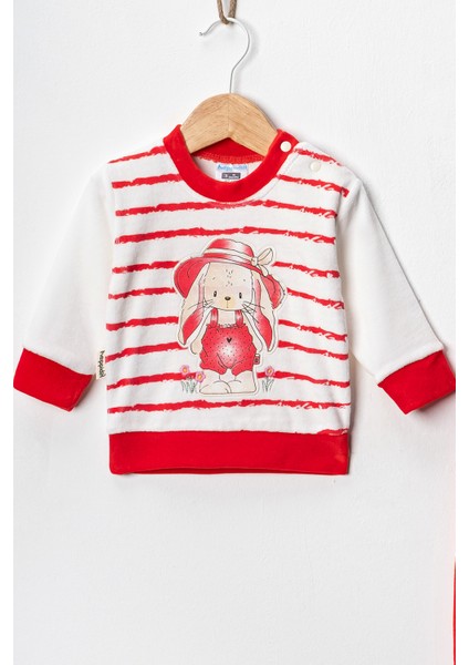 Baby Kız Bebek 3-6-9 Ay Tavşan Baskılı Kadife Kumaş Kendi Kumaşından Manşetli 2'li Alt-Üst Takım fiyatları