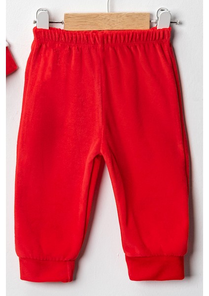 Baby Kız Bebek 3-6-9 Ay Tavşan Baskılı Kadife Kumaş Kendi Kumaşından Manşetli 2'li Alt-Üst Takım modelleri