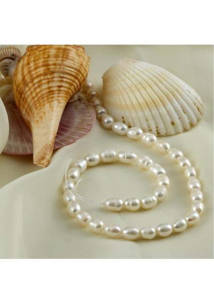 6 mm Dizi Inci fiyatları