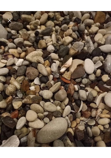 Çakıl Taşı 2kg Doğal Çakıl Taşı fırsatları