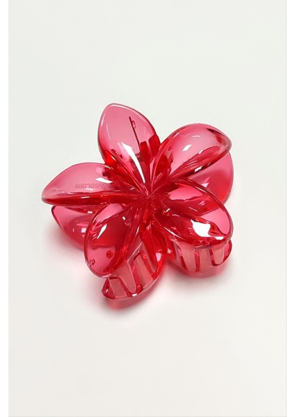 100 Adet Kırmızı Lotus Toka 6 cm Kına Seti fiyatları