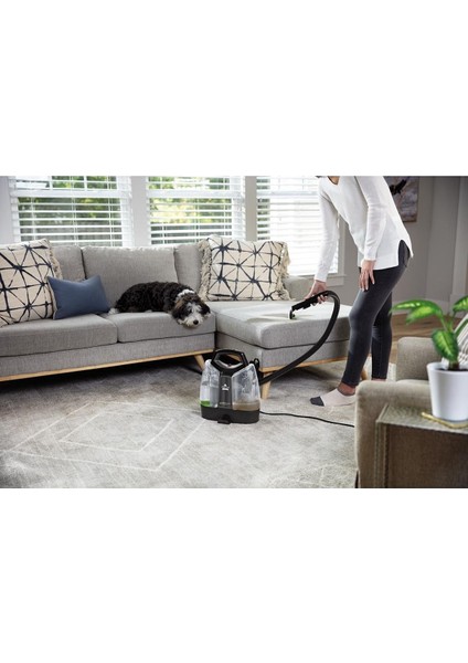 Evcil Hayvanlı Evlere Özel Halı ve Koltuk Temizleme Makinesi Siyah