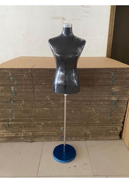 Şık Kadın Prova Mankeni, Vitrin Düzeni ve Sergileme Için Ideal Seçenek fiyatları